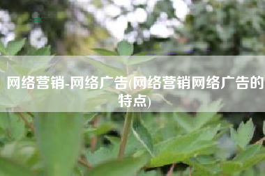 网络营销-网络广告(网络营销网络广告的特点)