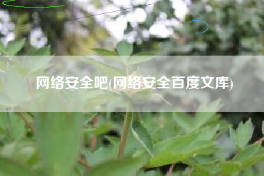 网络安全吧(网络安全百度文库)