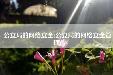 公安局的网络安全(公安局的网络安全管理)