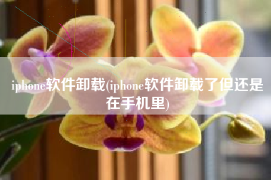 iphone软件卸载(iphone软件卸载了但还是在手机里)