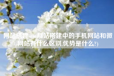 网站搭建seo(网站搭建中的手机网站和微网站有什么区别,优势是什么?)