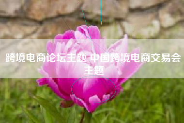跨境电商论坛主题 中国跨境电商交易会主题