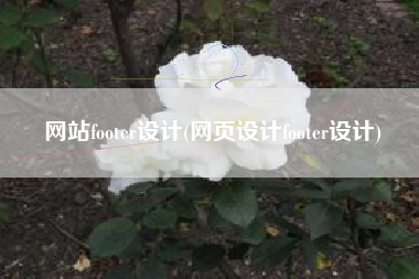 网站footer设计(网页设计footer设计)