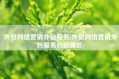 外贸网络营销外包服务(外贸网络营销外包服务包括哪些)
