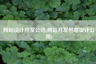 网站设计开发公司(网站开发创意设计公司)