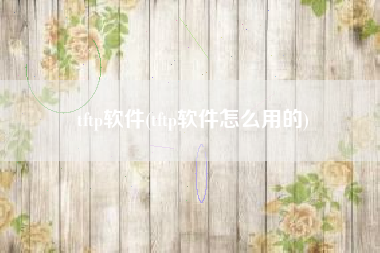 tftp软件(tftp软件怎么用的)