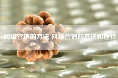 网络营销的方法 网络营销的方法和途径