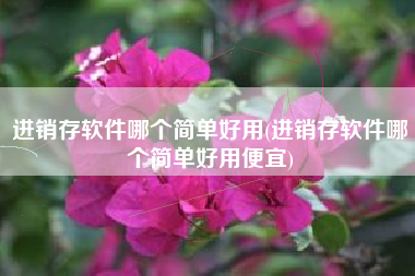 进销存软件哪个简单好用(进销存软件哪个简单好用便宜)