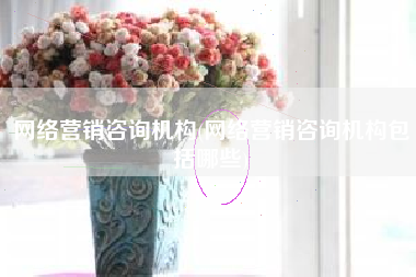 网络营销咨询机构(网络营销咨询机构包括哪些)