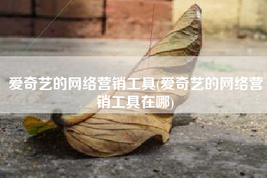 爱奇艺的网络营销工具(爱奇艺的网络营销工具在哪)