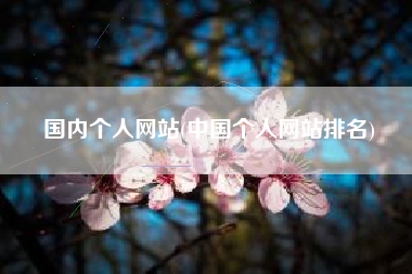 国内个人网站(中国个人网站排名)