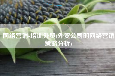 网络营销-培训外贸(外贸公司的网络营销策略分析)