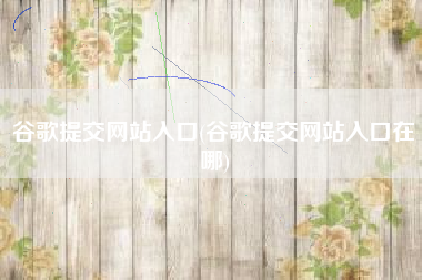 谷歌提交网站入口(谷歌提交网站入口在哪)