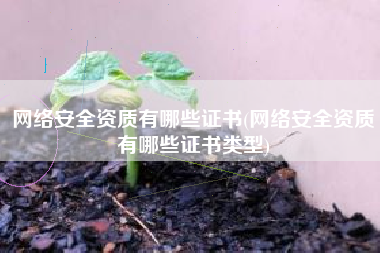 网络安全资质有哪些证书(网络安全资质有哪些证书类型)