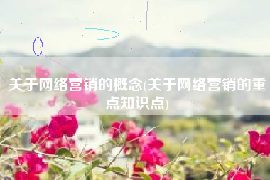 关于网络营销的概念(关于网络营销的重点知识点)