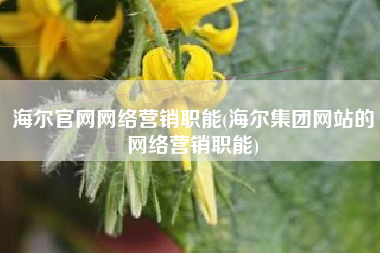 海尔官网网络营销职能(海尔集团网站的网络营销职能)