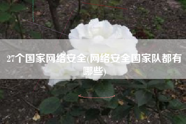 27个国家网络安全(网络安全国家队都有哪些)