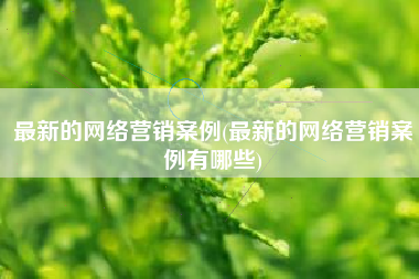 最新的网络营销案例(最新的网络营销案例有哪些)
