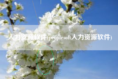 人力资源软件(peoplesoft人力资源软件)