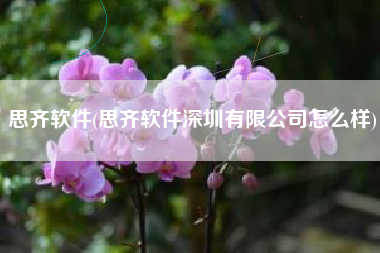 思齐软件(思齐软件深圳有限公司怎么样)