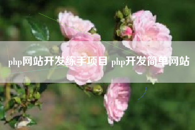 php网站开发练手项目 php开发简单网站