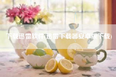 下载迅雷软件(迅雷下载器安卓版下载)
