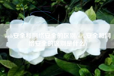 web安全和网络安全的区别(web安全和网络安全的区别是什么)