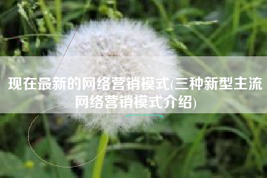 现在最新的网络营销模式(三种新型主流网络营销模式介绍)