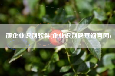 颜企业识别软件(企业识别码查询官网)