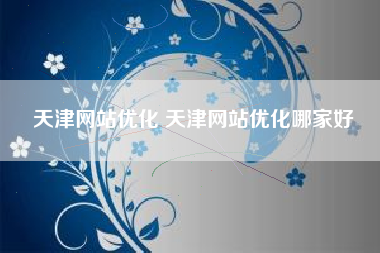 天津网站优化 天津网站优化哪家好