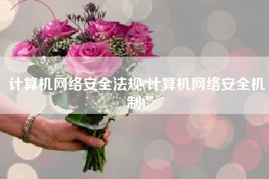 计算机网络安全法规(计算机网络安全机制)