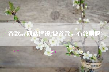 谷歌seo网站建设(做谷歌seo有效果吗)