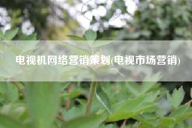 电视机网络营销策划(电视市场营销)