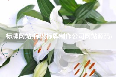 标牌网站(标识标牌制作公司网站源码)