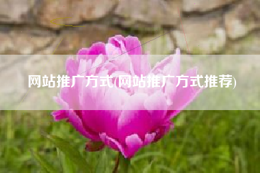 网站推广方式(网站推广方式推荐)