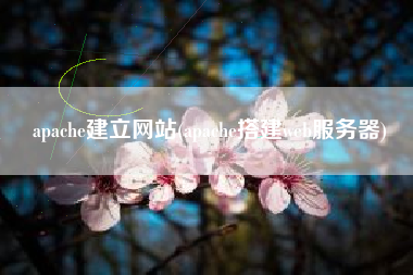 apache建立网站(apache搭建web服务器)