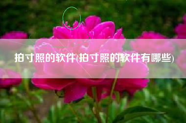 拍寸照的软件(拍寸照的软件有哪些)