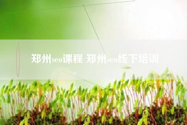 郑州seo课程 郑州seo线下培训