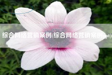 综合网络营销案例(综合网络营销案例ppt)