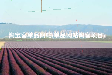淘宝客单品网站(单品网站淘客项目)