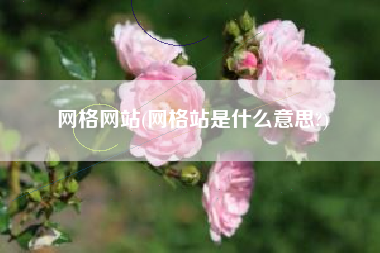 网格网站(网格站是什么意思?)