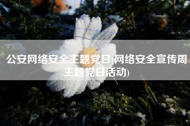 公安网络安全主题党日(网络安全宣传周主题党日活动)