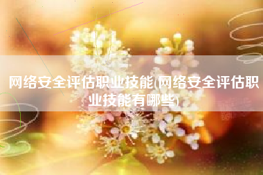 网络安全评估职业技能(网络安全评估职业技能有哪些)
