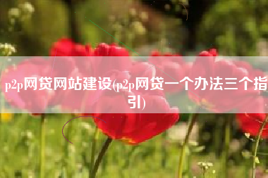 p2p网贷网站建设(p2p网贷一个办法三个指引)