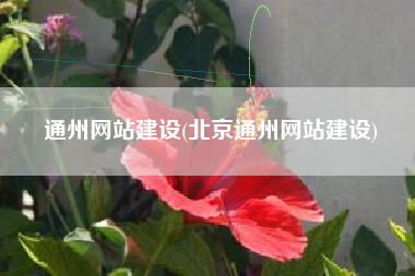 通州网站建设(北京通州网站建设)