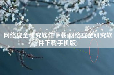 网络安全研究软件下载(网络安全研究软件下载手机版)