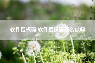 软件授权码(软件授权码怎么破解)