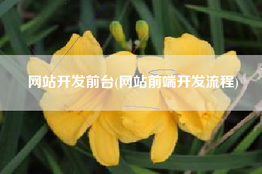 网站开发前台(网站前端开发流程)