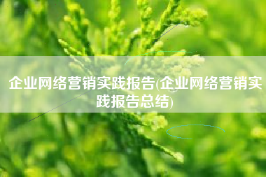 企业网络营销实践报告(企业网络营销实践报告总结)