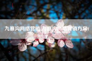 九寨沟网络营销(九寨沟网络营销方案)
